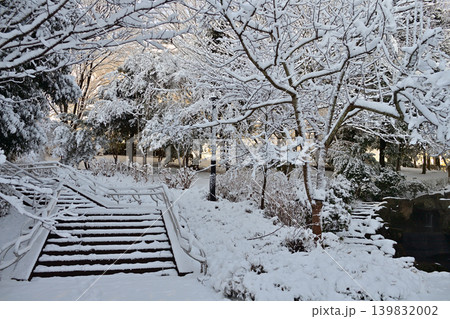 雪景色の朝の花島公園 139832002