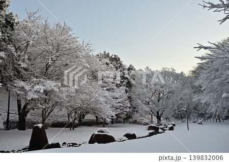 雪景色の朝の花島公園 雪景色の朝の花島公園 139832006