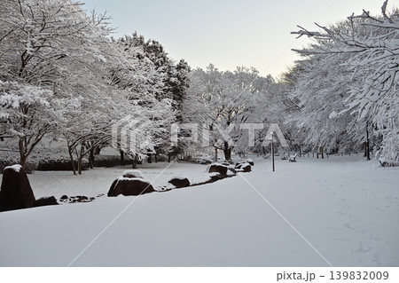 雪景色の朝の花島公園 139832009
