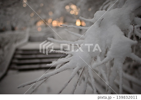 雪景色の朝の花島公園 雪景色の朝の花島公園 139832011