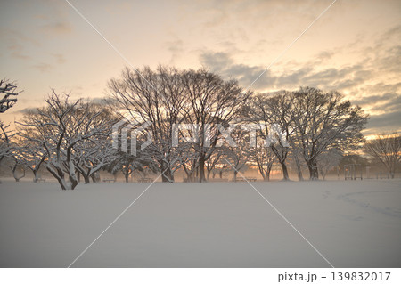 雪景色の朝の花島公園 雪景色の朝の花島公園 139832017
