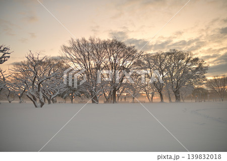 雪景色の朝の花島公園 139832018