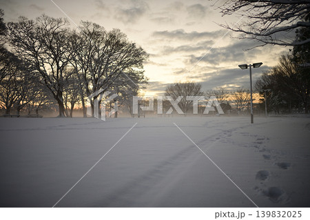 雪景色の朝の花島公園 雪景色の朝の花島公園 139832025