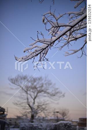 雪景色の朝の花島公園 雪景色の朝の花島公園 139832034