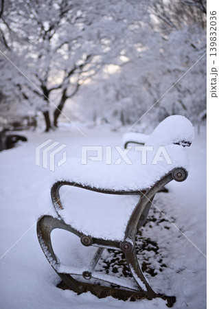 雪景色の朝の花島公園 雪景色の朝の花島公園 139832036