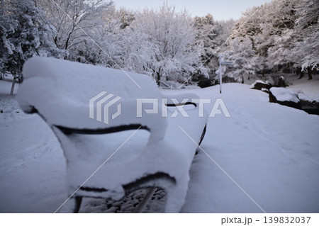 雪景色の朝の花島公園 雪景色の朝の花島公園 139832037