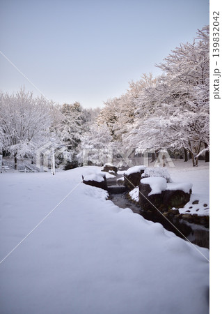 雪景色の朝の花島公園 雪景色の朝の花島公園 139832042
