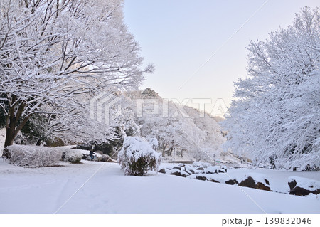 雪景色の朝の花島公園 雪景色の朝の花島公園 139832046