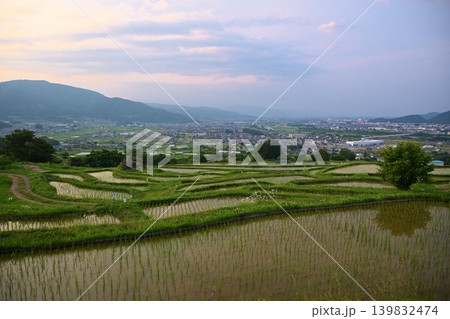 夕暮れの姨捨の棚田 長野 夕暮れの姨捨の棚田 長野 139832474