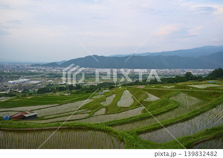 夕暮れの姨捨の棚田 長野 夕暮れの姨捨の棚田 長野 139832482