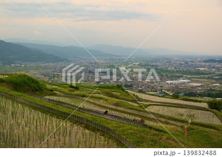 夕暮れの姨捨の棚田 長野 夕暮れの姨捨の棚田 長野 139832488