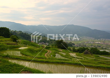 夕暮れの姨捨の棚田　長野 139832490