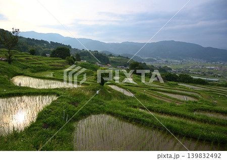夕暮れの姨捨の棚田 長野 夕暮れの姨捨の棚田 長野 139832492