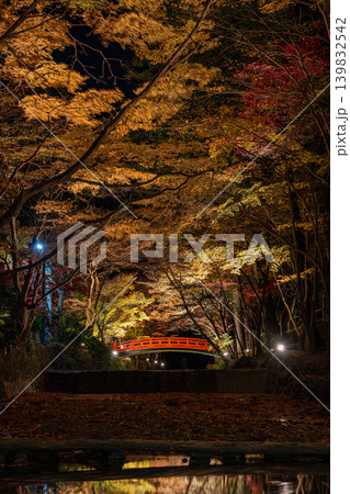 森町の遠江国一宮小國神社の紅葉の風景(静岡県) 森町の遠江国一宮小國神社の紅葉の風景(静岡県) 139832542