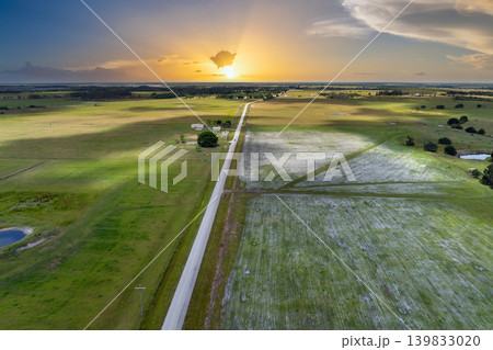 Green agricultural field with growing crops in summer season. Farming and agriculture industry Green agricultural field with growing crops in summer season. Farming and agriculture industry 139833020