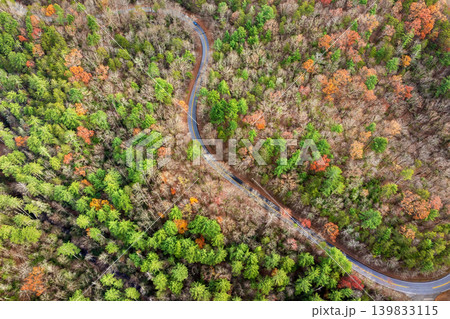 Winding forest road in Tennessee Appalachians during fall. Car traveling through mountain woods under glowing autumn leaves 139833115