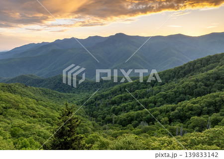 Mount Mitchell State Park with summer woods of Appalachian mountains with green canopies in colorful forest at sunset. Wild nature in summertime season Mount Mitchell State Park with summer woods of Appalachian mountains with green canopies in colorful forest at sunset. Wild nature in summertime season 139833142