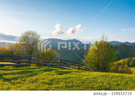 mountainous rural landscape of ukraine in spring. lovely view of valley fields. alpine meadow on a sunny afternoon. carpathian mountains countryside with forest near pasture. earth day background 139833719