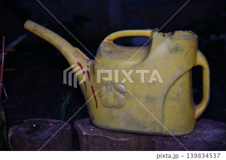 Gardening woman watering the flowers garden 139834537