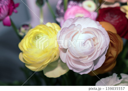 Bright Ranunculus Bouquet In Modern Interior. Bright Ranunculus Bouquet In Modern Interior. 139835557