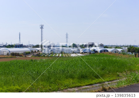 埼玉県八潮市中川周辺2026年5月 埼玉県八潮市中川周辺2026年5月 139835613