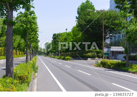 千葉県柏市柏の葉公園周辺2026年5月 千葉県柏市柏の葉公園周辺2026年5月 139835727