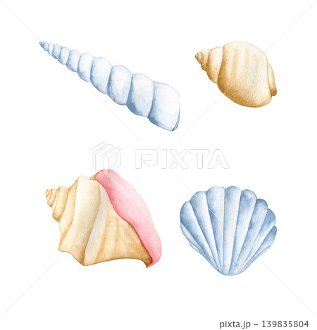 Watercolor set of various sea shells isolated on white background. Hand drawn  marine underwater collection for beach-themed design, summer vacation projects, tropical decor, and nautical branding. 139835804