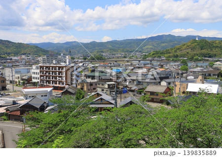 臼杵市街(臼杵城址より) 臼杵市街(臼杵城址より) 139835889