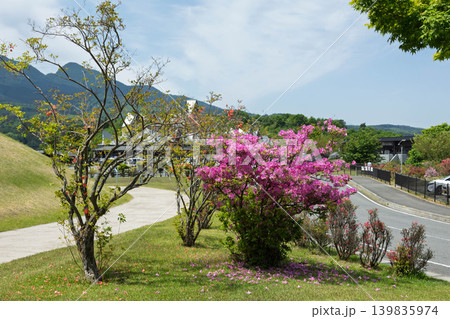 初夏の道の駅中山盆地 群馬県高山村 初夏の道の駅中山盆地 群馬県高山村 139835974
