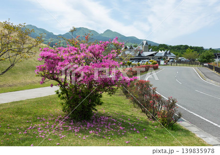 初夏の道の駅中山盆地　群馬県高山村 139835978