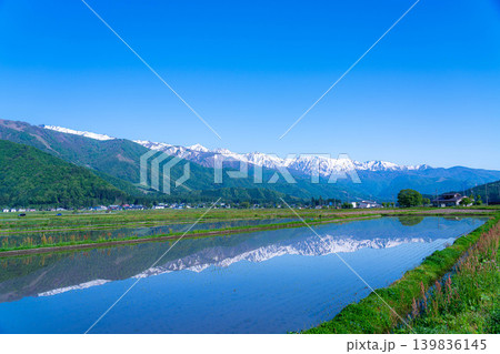 【初夏の風景】水田に水を張った初夏の白馬村の風景【長野県】 【初夏の風景】水田に水を張った初夏の白馬村の風景【長野県】 139836145