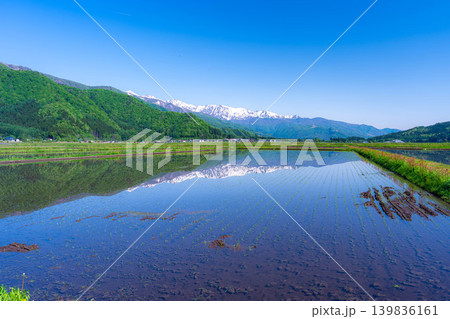 【初夏の風景】水田に水を張った初夏の白馬村の風景【長野県】 【初夏の風景】水田に水を張った初夏の白馬村の風景【長野県】 139836161