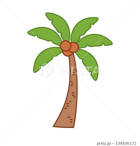 palm tree with lush green leaves and coconut, tropical illustration 139836172