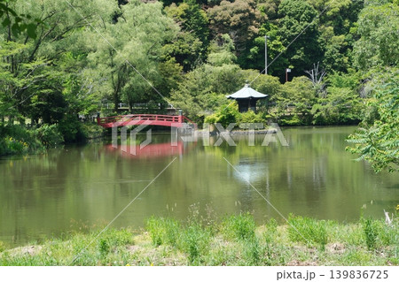 定光寺公園正伝池 定光寺公園正伝池 139836725