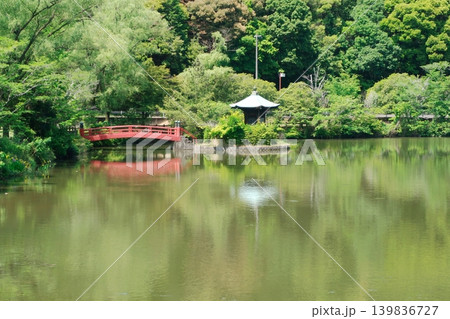 定光寺公園正伝池 定光寺公園正伝池 139836727
