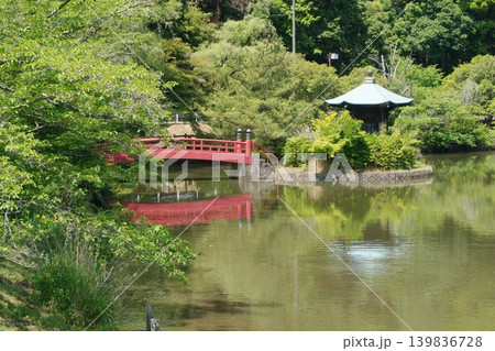 定光寺公園正伝池 定光寺公園正伝池 139836728