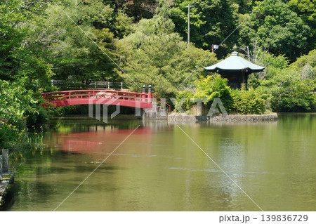 定光寺公園正伝池 定光寺公園正伝池 139836729