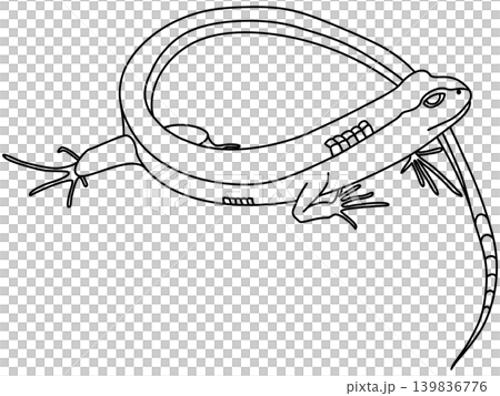 石炭紀のヒロノムスのデフォルメイラスト 139836776