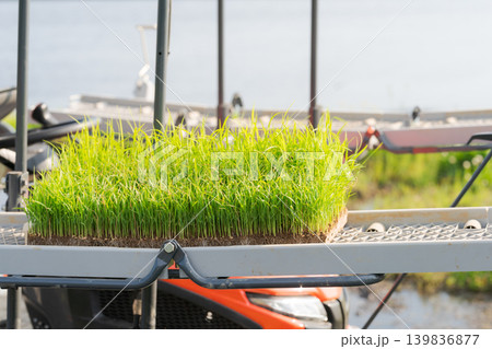 田植機に苗を積み込む様子 139836877