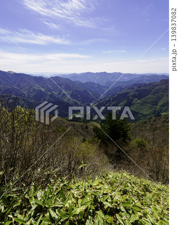 登山・トレッキング:初夏の陽光に包まれる瓶ヶ森の広大なクマザサ地帯 登山・トレッキング:初夏の陽光に包まれる瓶ヶ森の広大なクマザサ地帯 139837082