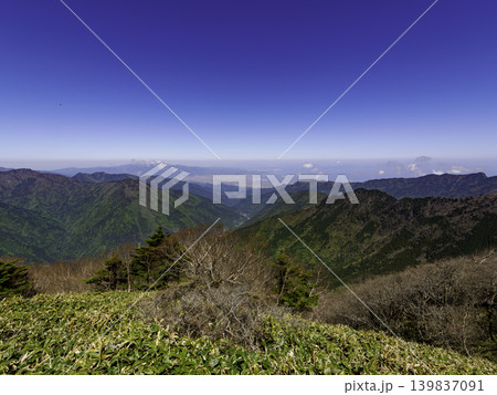 登山・トレッキング:初夏の陽光に包まれる瓶ヶ森の広大なクマザサ地帯 登山・トレッキング:初夏の陽光に包まれる瓶ヶ森の広大なクマザサ地帯 139837091