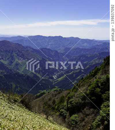 登山・トレッキング:初夏の陽光に包まれる瓶ヶ森の広大なクマザサ地帯 登山・トレッキング:初夏の陽光に包まれる瓶ヶ森の広大なクマザサ地帯 139837092