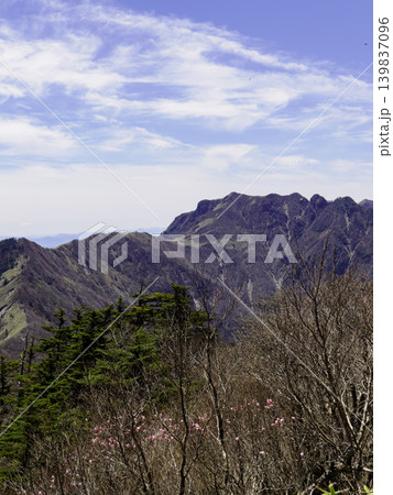 登山・トレッキング：初夏の陽光に包まれる瓶ヶ森の広大なクマザサ地帯 139837096