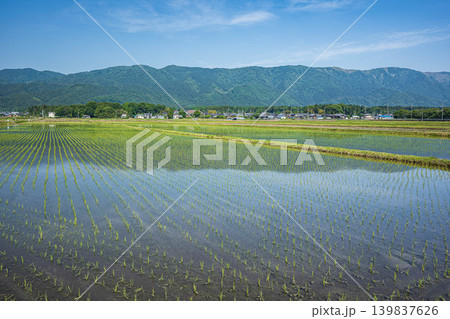 奥琵琶湖の田園風景　滋賀県高島市マキノ町 139837626