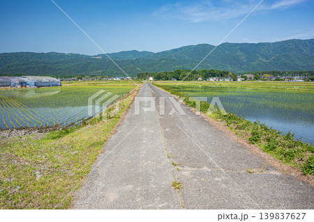 奥琵琶湖の田園風景　滋賀県高島市マキノ町 139837627