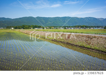 奥琵琶湖の田園風景　滋賀県高島市マキノ町 139837628