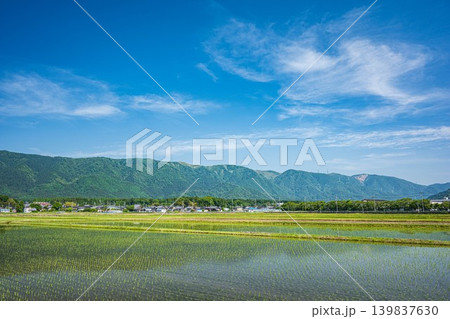 奥琵琶湖の田園風景　滋賀県高島市マキノ町 139837630