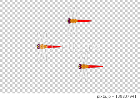 A red dragonfly flying with its wings spread. A red dragonfly flying with its wings spread. 139837941