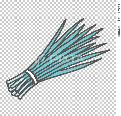 Illustration of chives (a stamina-boosting vegetable that helps prevent summer fatigue) Illustration of chives (a stamina-boosting vegetable that helps prevent summer fatigue) 139837964