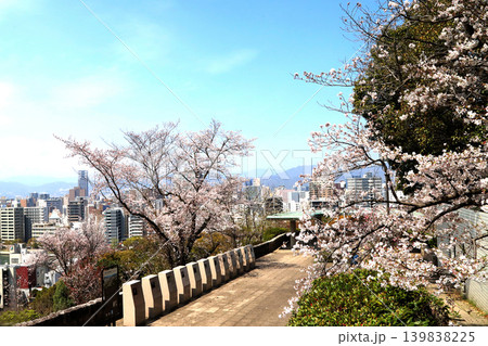 比治山公園さくら 139838225